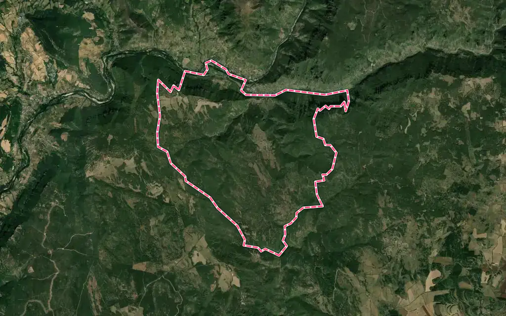 Vue satellite de Peyreleau avec ses contours administratifs
