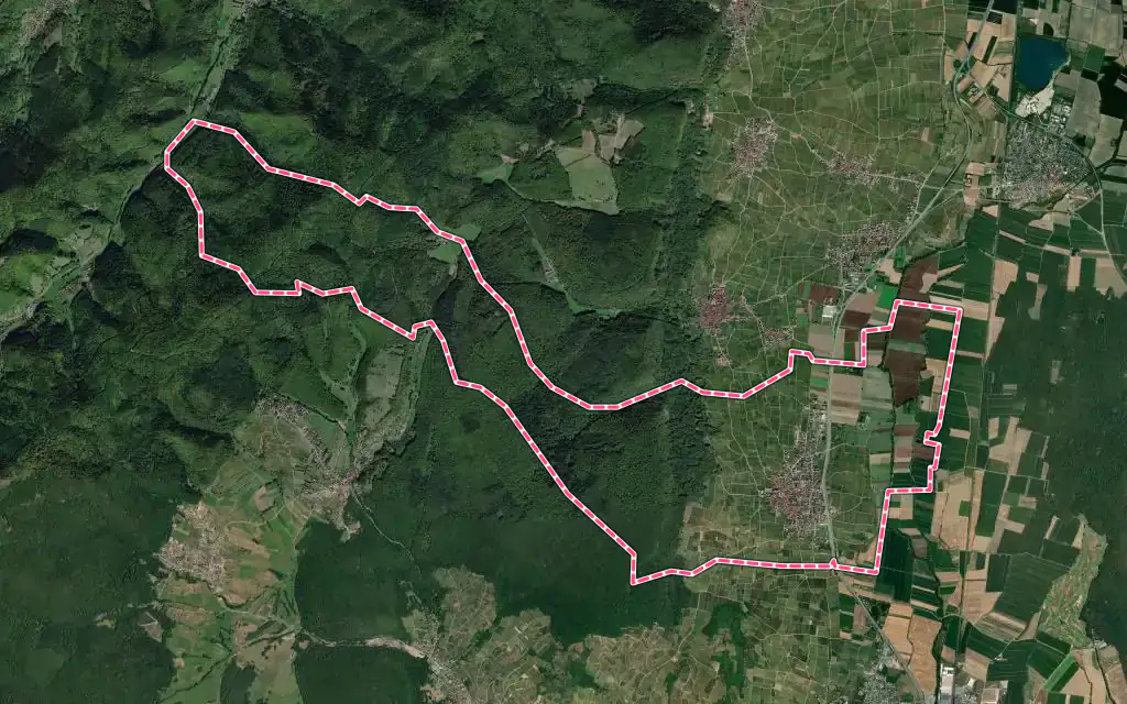 Vue satellite de Pfaffenheim avec ses contours administratifs