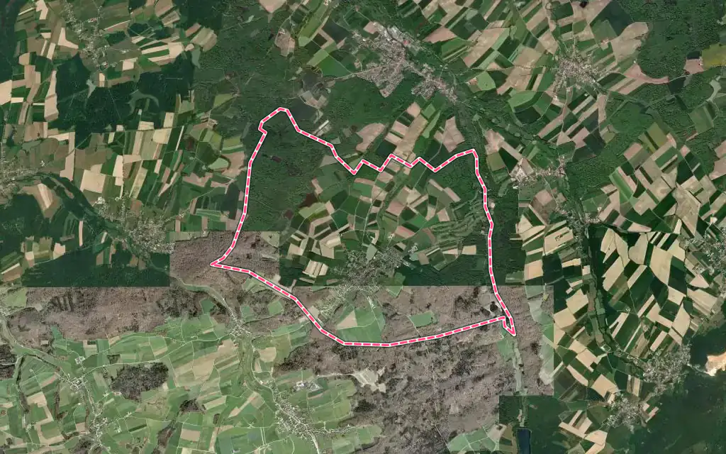 Vue satellite de Pfetterhouse avec ses contours administratifs