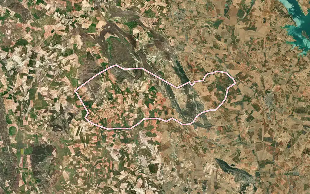 Vista satélite de Pinarejo con su contorno administrativo