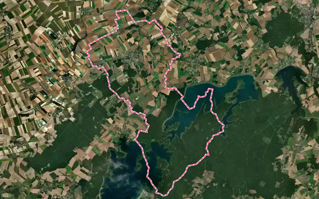 Vue satellite de Piney avec ses contours administratifs