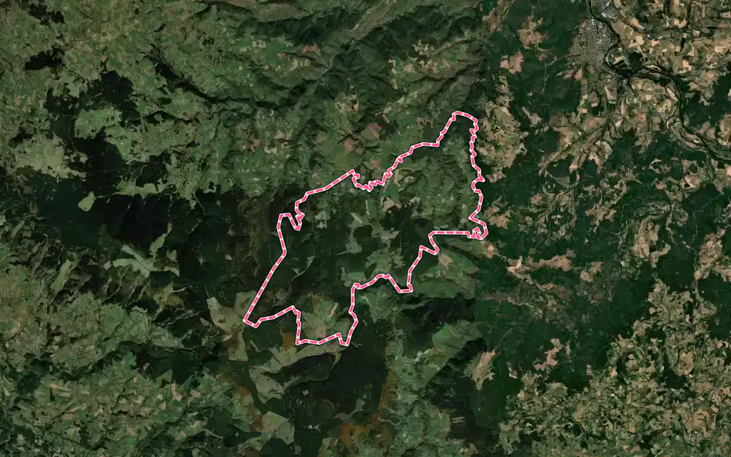 Vue satellite de Pinols avec ses contours administratifs