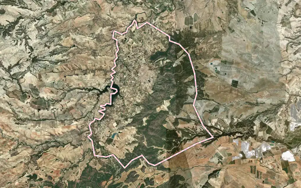 Vista satélite de Pliego con su contorno administrativo