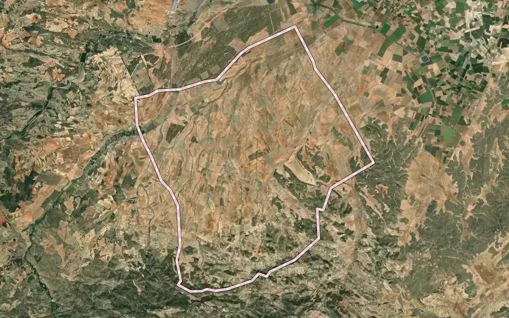 Vista satélite de Pozuelo con su contorno administrativo