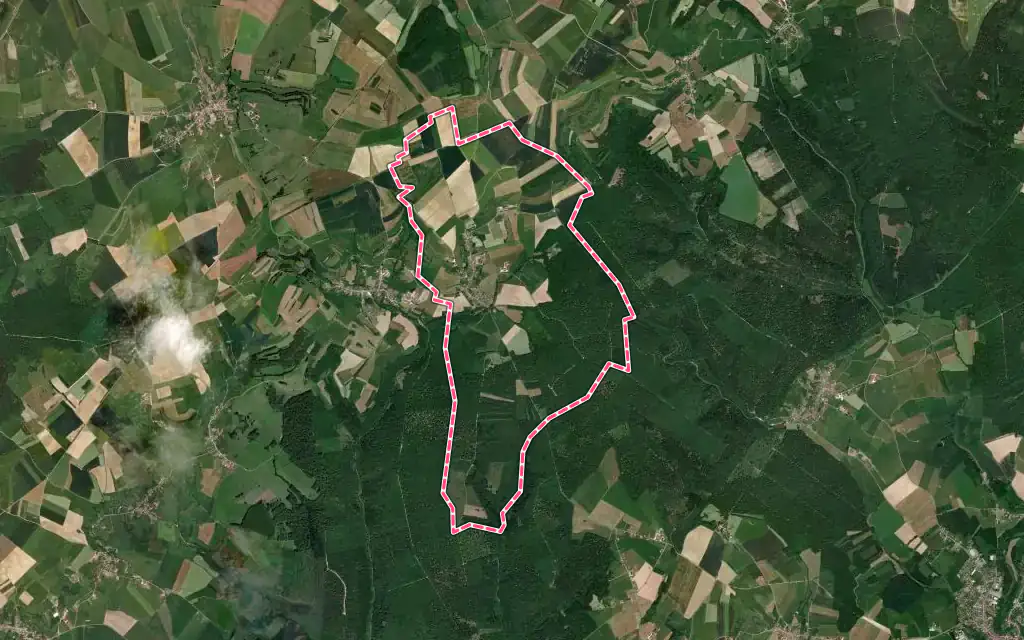 Vue satellite de Provenchères-lès-Darney avec ses contours administratifs