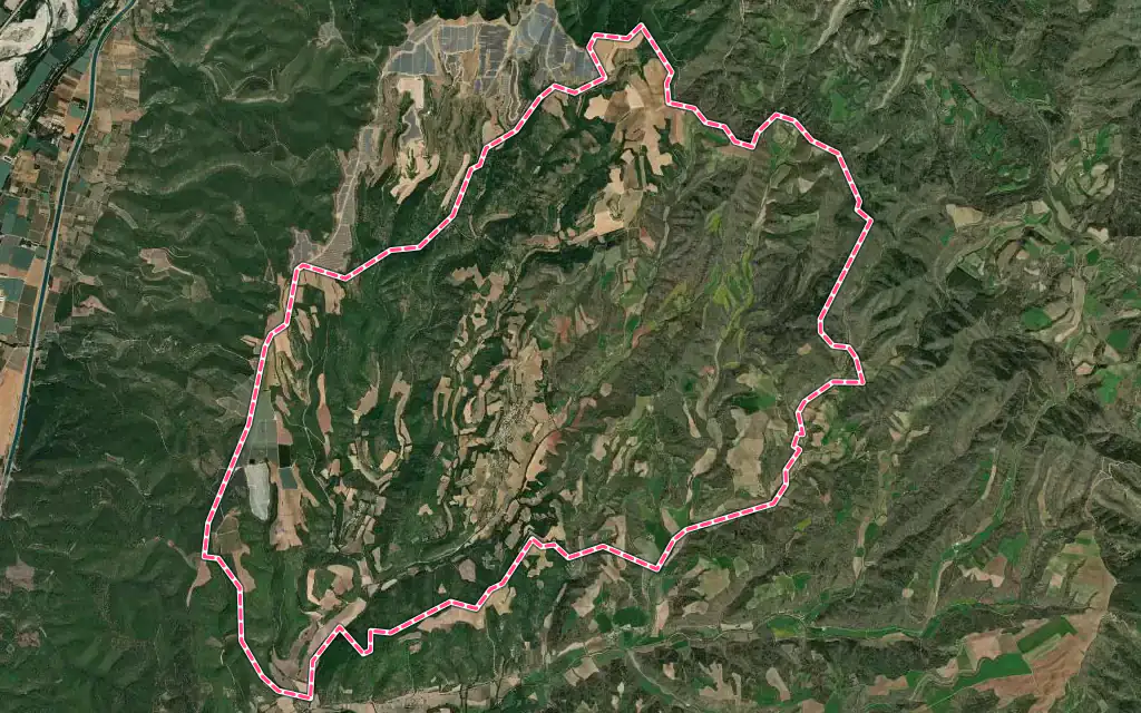 Vue satellite de Puimichel avec ses contours administratifs