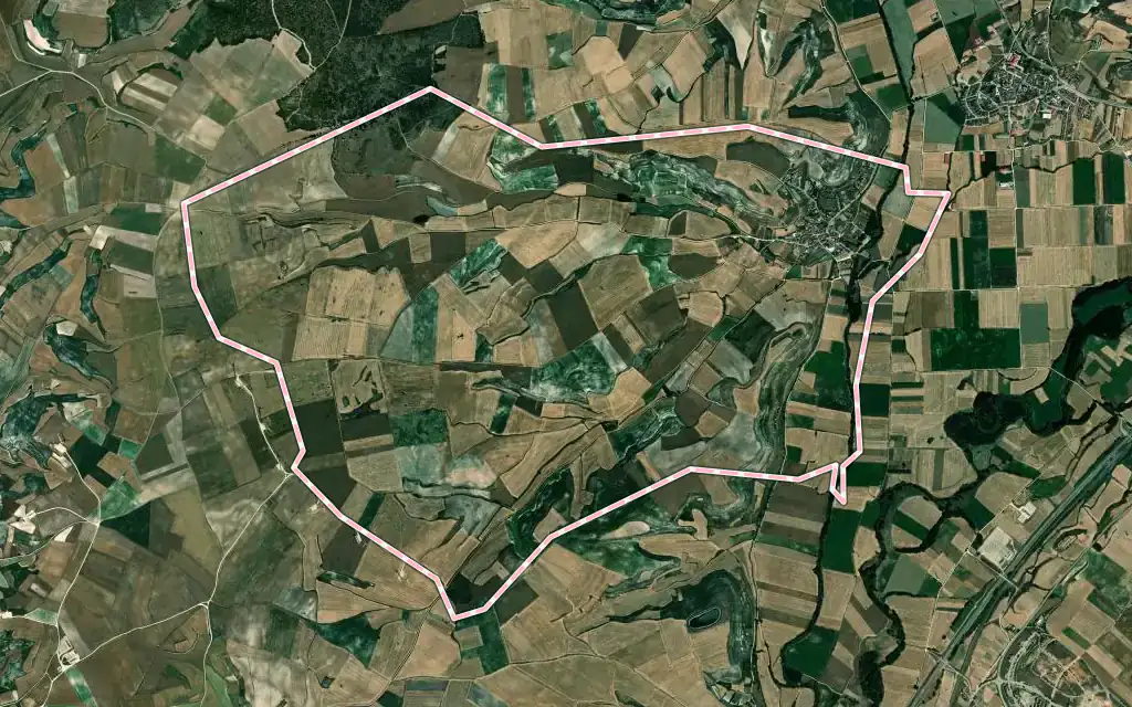 Vista satélite de Rabé de las Calzadas con su contorno administrativo