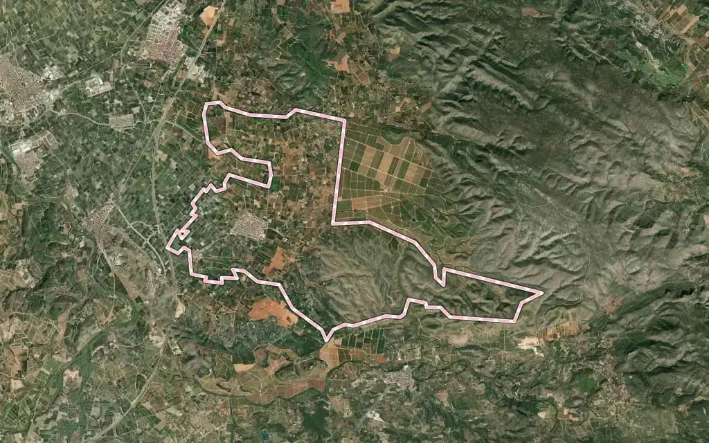 Vista satélite de Rafelguaraf con su contorno administrativo