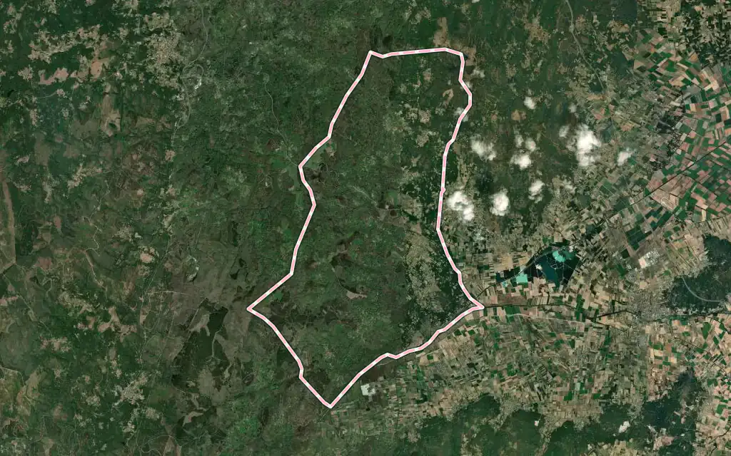 Vista satélite de Rairiz de Veiga con su contorno administrativo