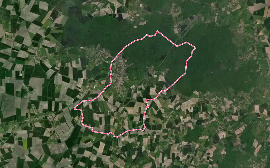 Vue satellite de Randan avec ses contours administratifs
