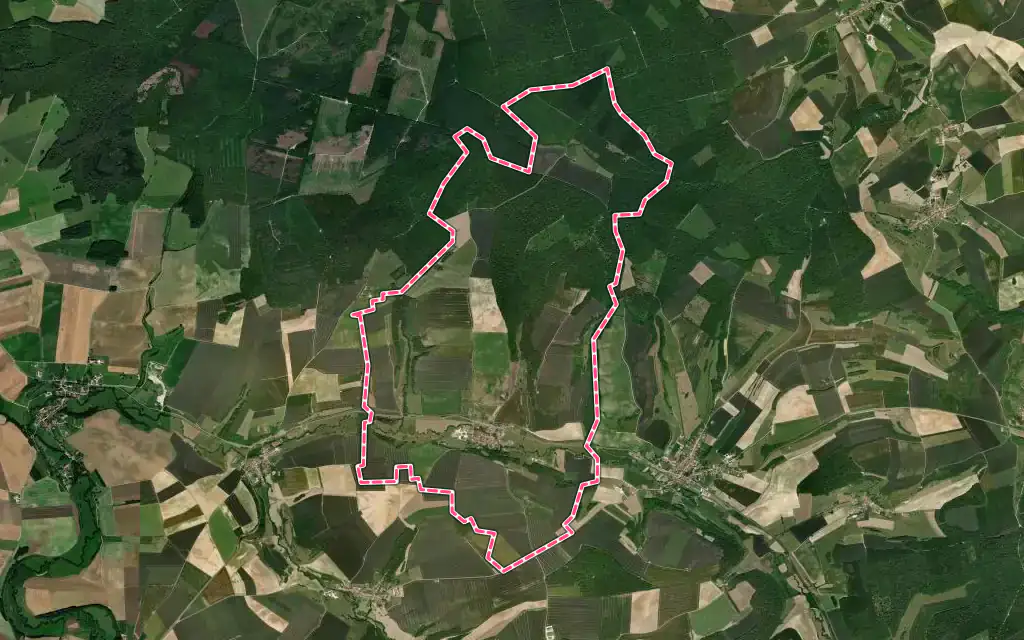 Vue satellite de Récicourt avec ses contours administratifs