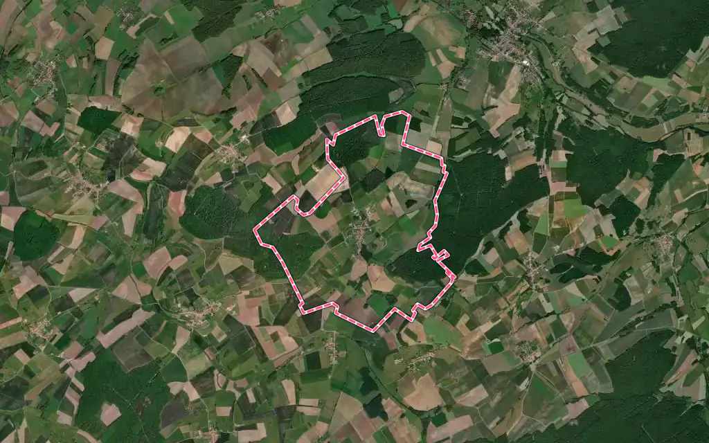 Vue satellite de Remenoville avec ses contours administratifs
