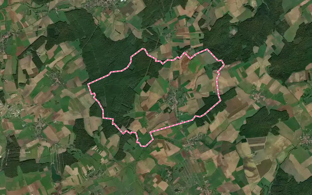 Vue satellite de Réméréville avec ses contours administratifs