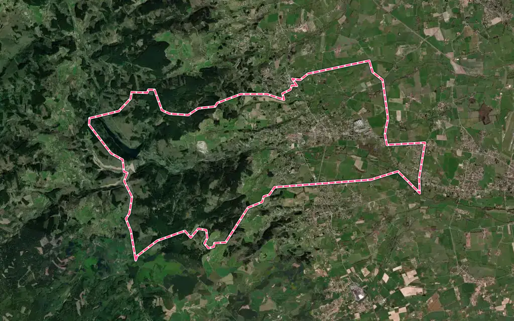 Vue satellite de Renaison avec ses contours administratifs