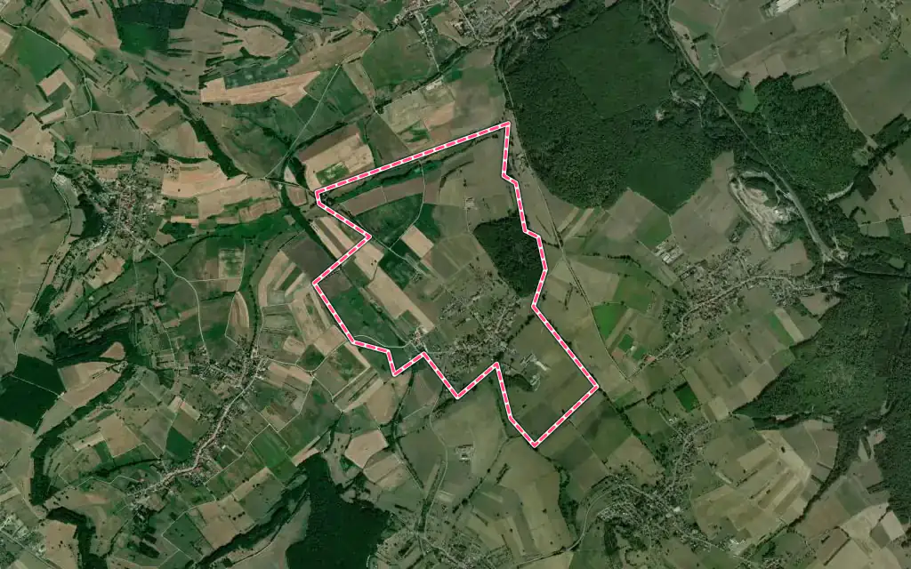 Vue satellite de Rexingen avec ses contours administratifs