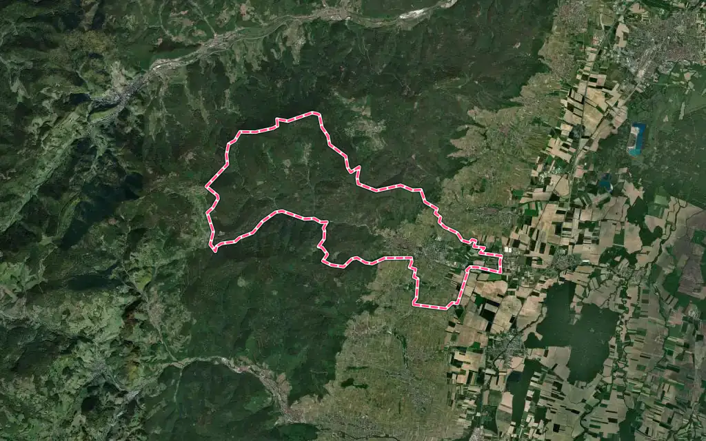 Vue satellite de Ribeauvillé avec ses contours administratifs