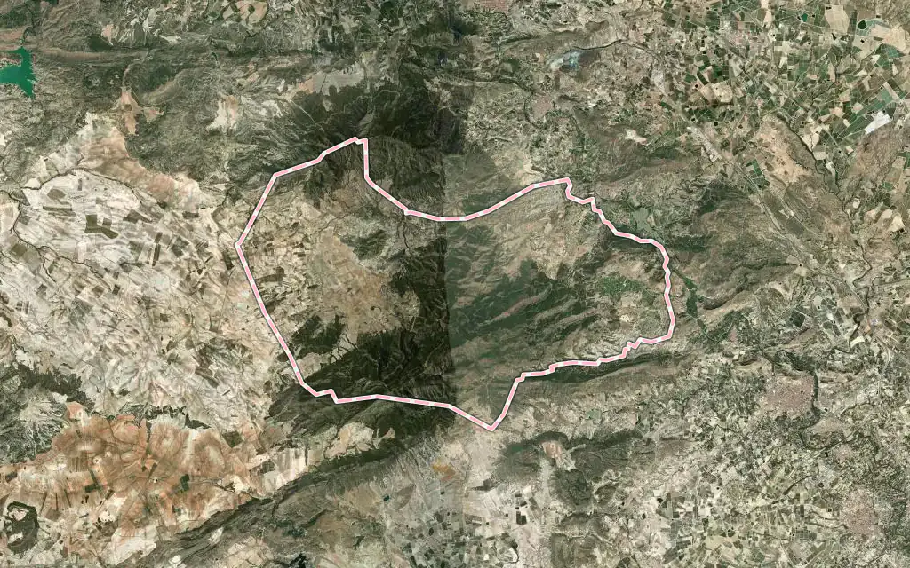 Vista satélite de Ricote con su contorno administrativo
