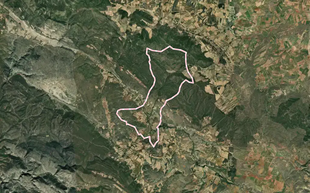 Vista satélite de Rillo de Gallo con su contorno administrativo