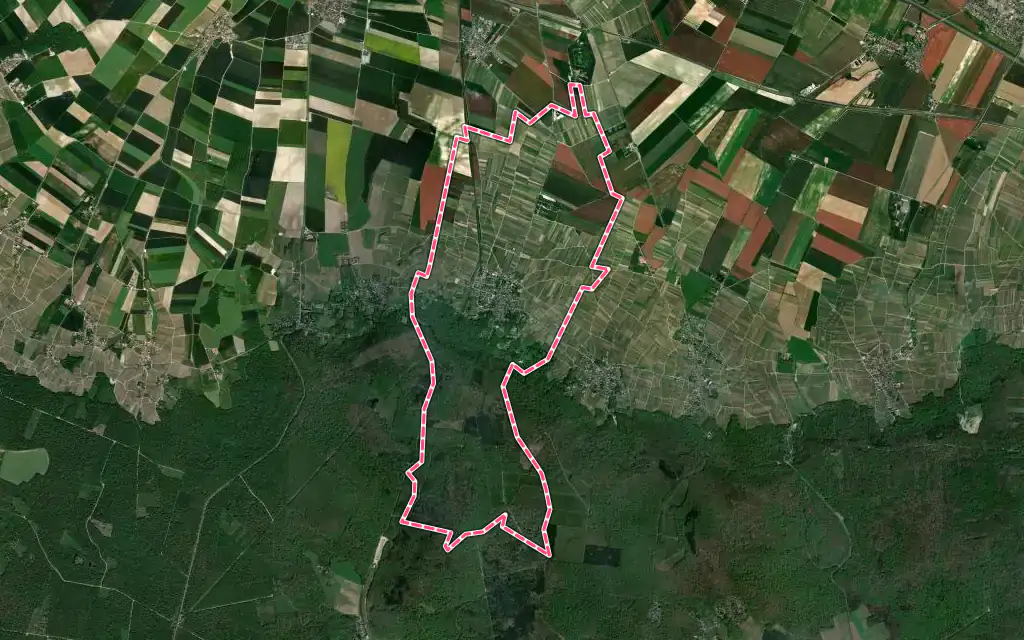 Vue satellite de Rilly-la-Montagne avec ses contours administratifs
