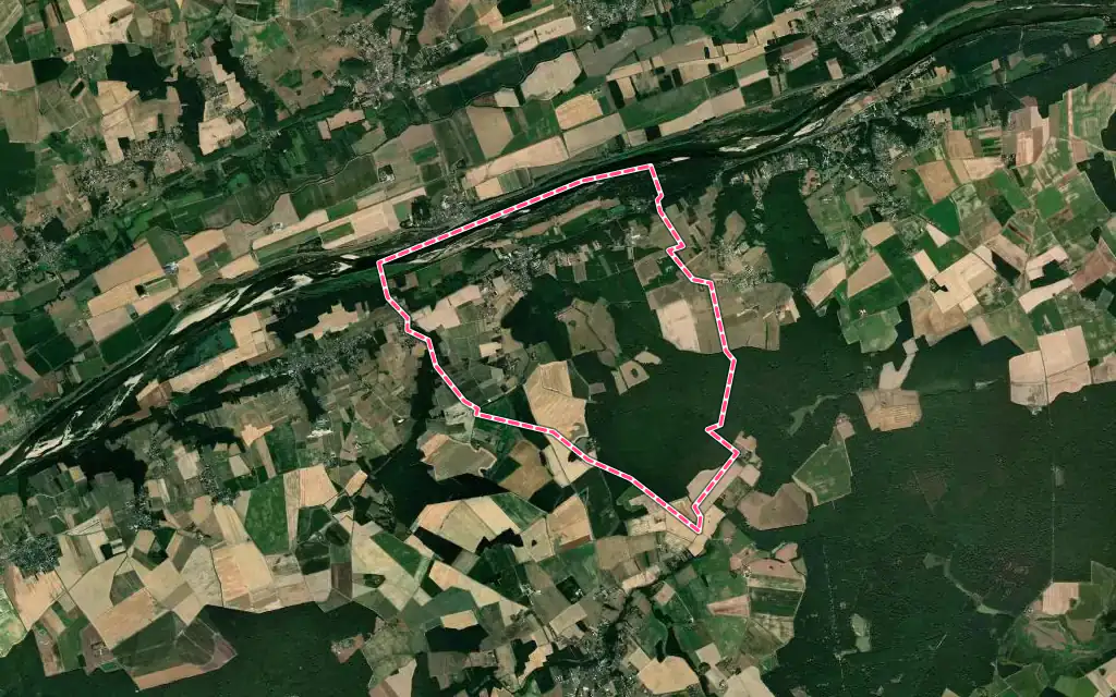 Vue satellite de Rilly-sur-Loire avec ses contours administratifs