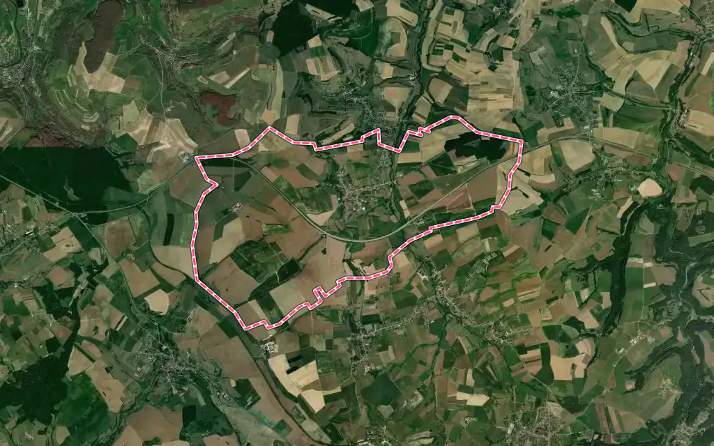 Vue satellite de Rimling avec ses contours administratifs