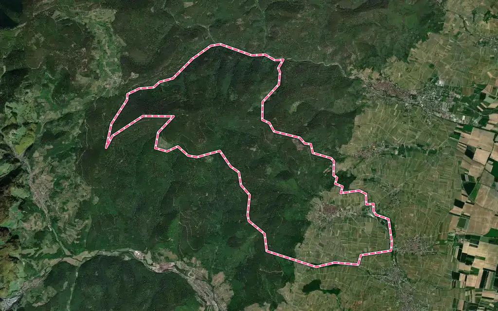 Vue satellite de Riquewihr avec ses contours administratifs
