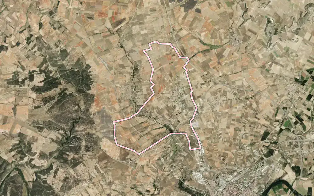 Vista satélite de Roales con su contorno administrativo
