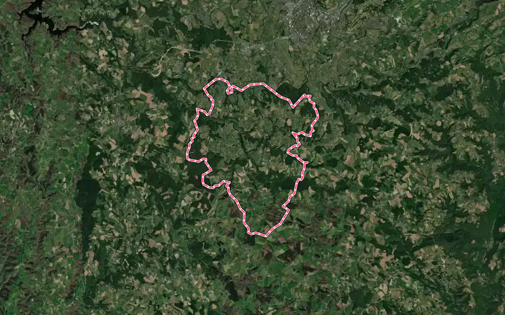 Vue satellite de Roannes-Saint-Mary avec ses contours administratifs
