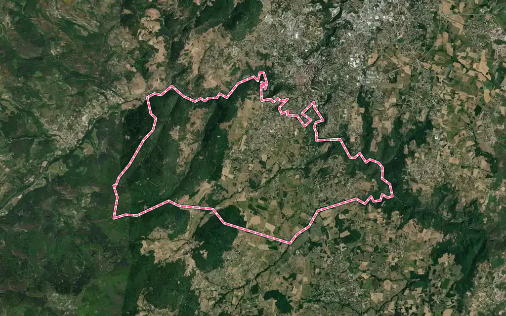 Vue satellite de Roiffieux avec ses contours administratifs