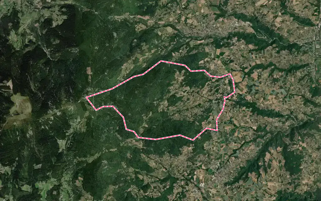 Vue satellite de Roisey avec ses contours administratifs