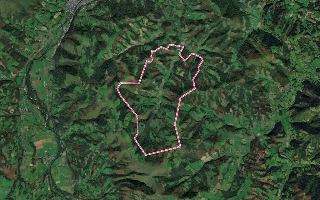 Vue satellite de Roquiague avec ses contours administratifs