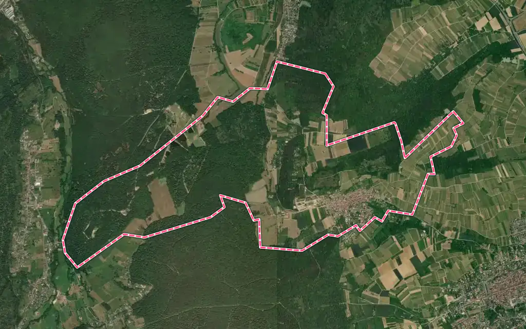 Vue satellite de Rosenwiller avec ses contours administratifs