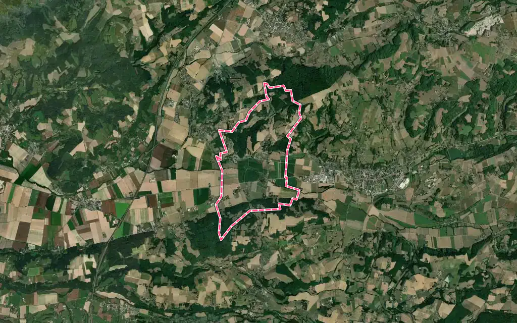 Vue satellite de Royas avec ses contours administratifs