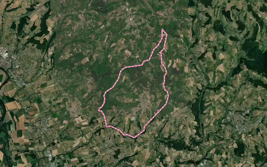 Vue satellite de Rozier-en-Donzy avec ses contours administratifs