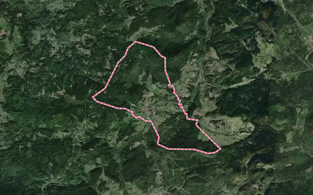 Vue satellite de Saales avec ses contours administratifs