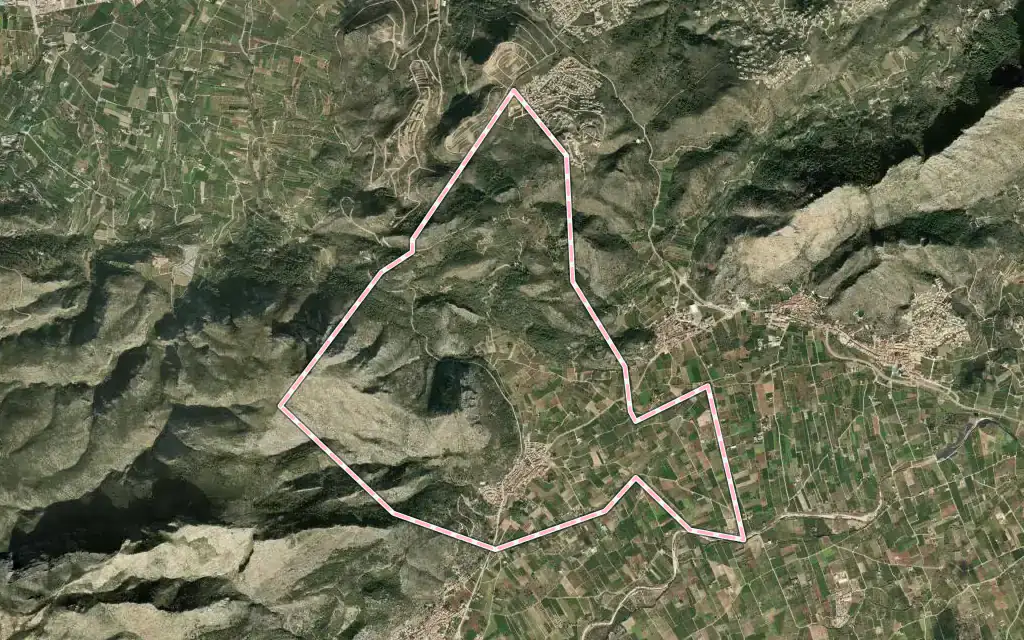Vista satélite de Sagra con su contorno administrativo