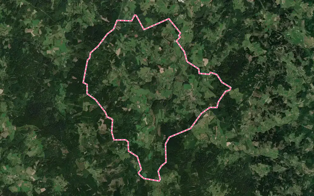Vue satellite de Saint-Amant-Roche-Savine avec ses contours administratifs