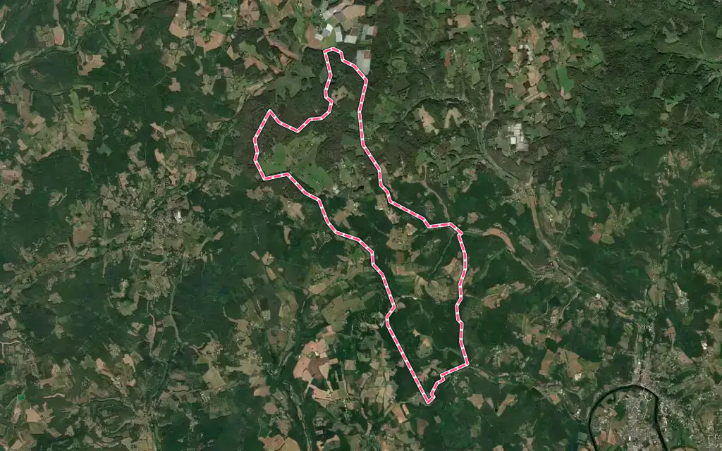 Vue satellite de Saint-Avit-de-Vialard avec ses contours administratifs