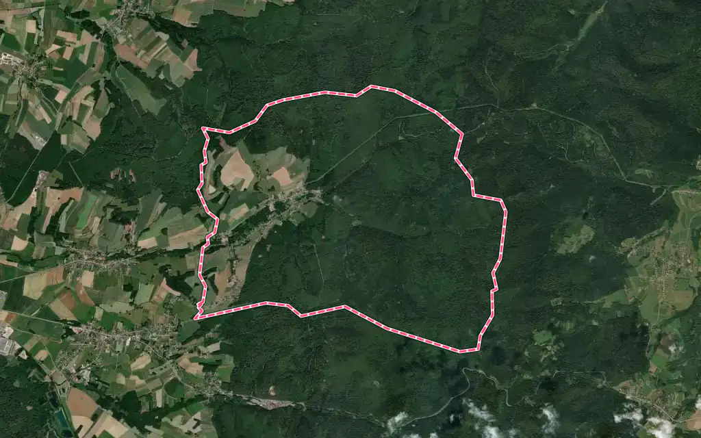 Vue satellite de Saint-Benoît-la-Chipotte avec ses contours administratifs