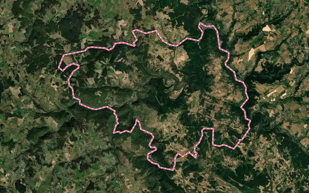 Vue satellite de Saint Bonnet-Laval avec ses contours administratifs