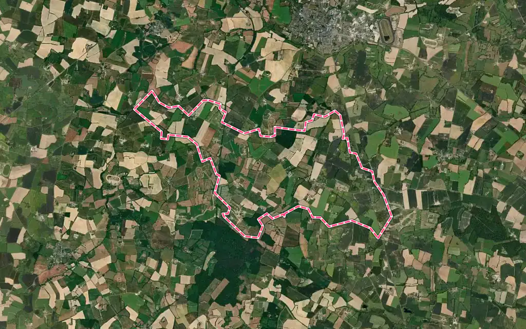 Vue satellite de Saint-Charles-la-Forêt avec ses contours administratifs