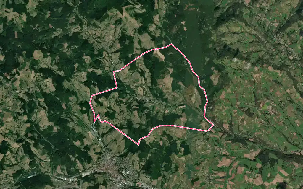 Vue satellite de Saint-Clément-sur-Valsonne avec ses contours administratifs
