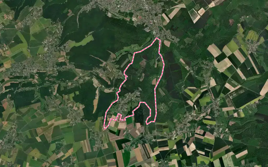 Vue satellite de Saint-Didier-des-Bois avec ses contours administratifs
