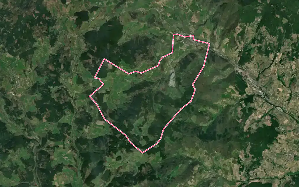 Vue satellite de Saint-Didier-sur-Beaujeu avec ses contours administratifs