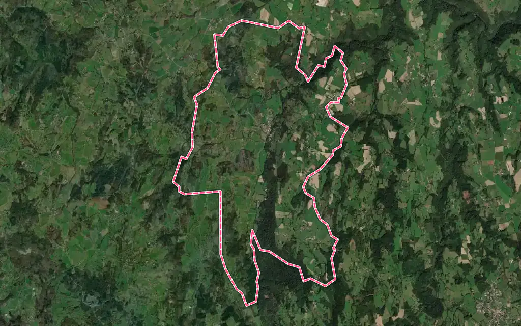Vue satellite de Saint-Dier-d'Auvergne avec ses contours administratifs