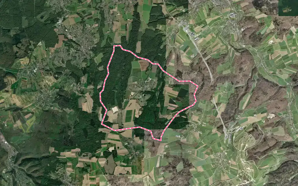 Vue satellite de Saint-Dizier-l'Évêque avec ses contours administratifs