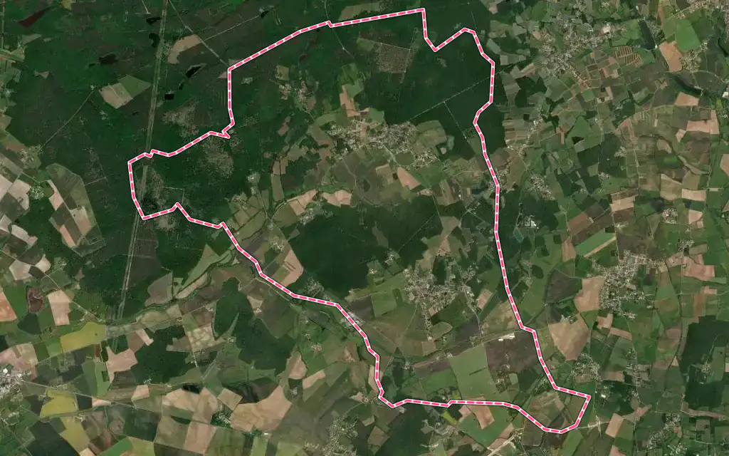 Vue satellite de Saint-Éloy-de-Gy avec ses contours administratifs