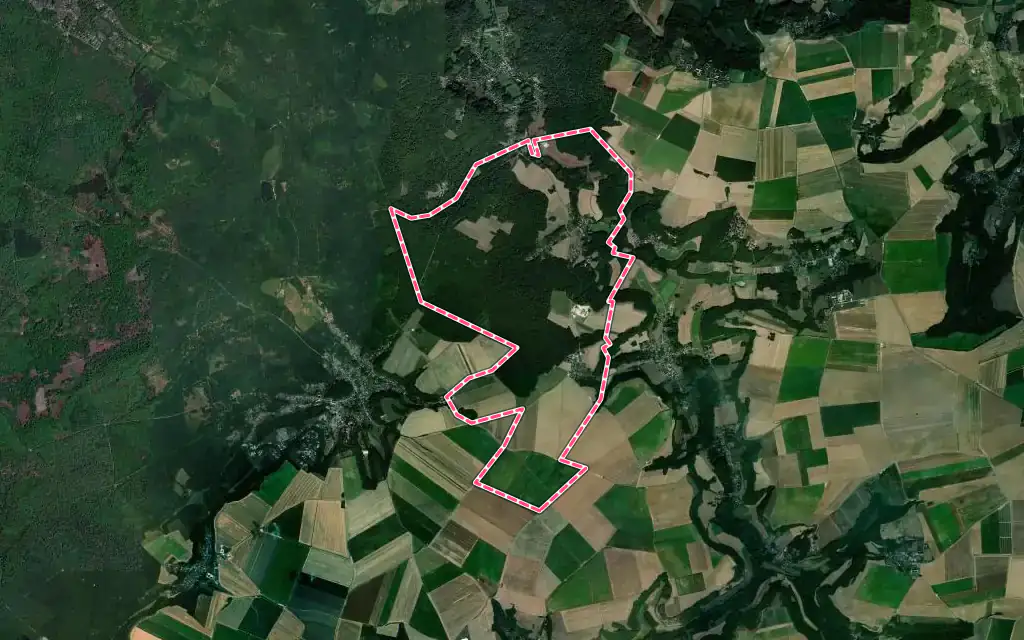 Vue satellite de Saint-Étienne-Roilaye avec ses contours administratifs