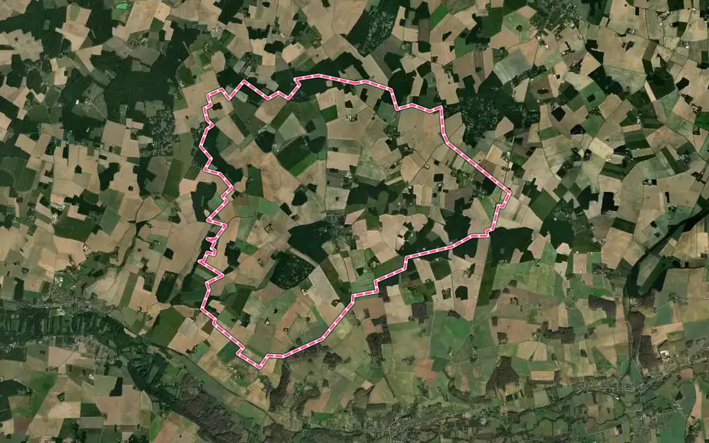 Vue satellite de Saint-Firmin-des-Bois avec ses contours administratifs