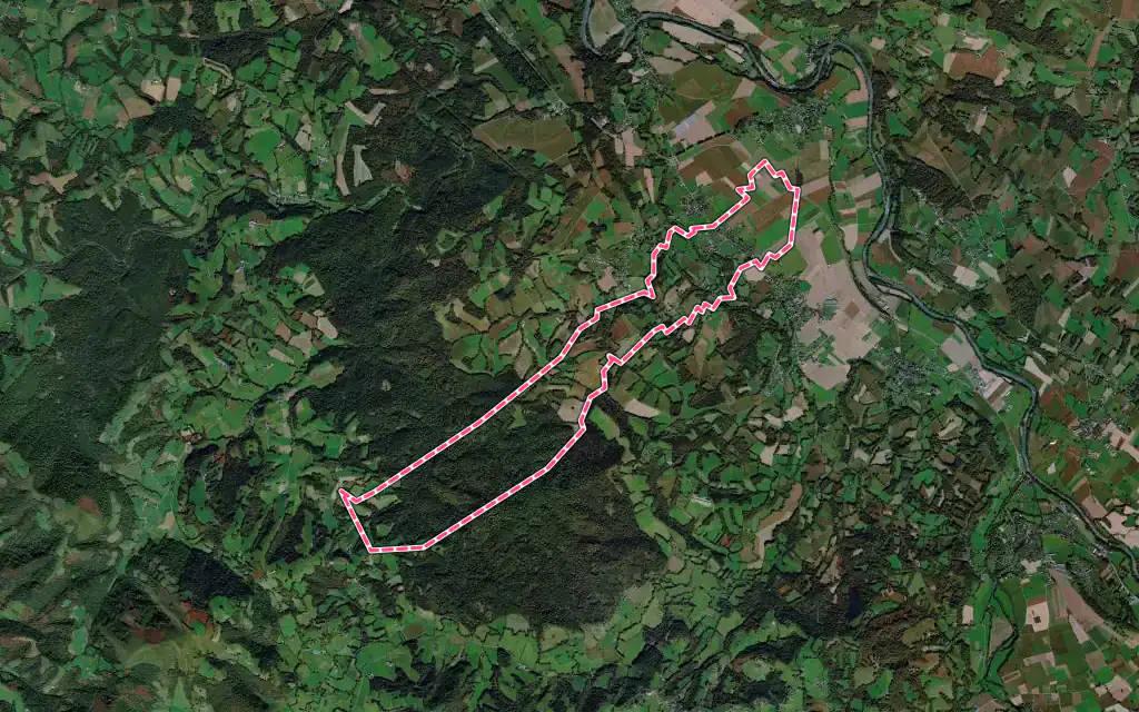 Vue satellite de Saint-Goin avec ses contours administratifs